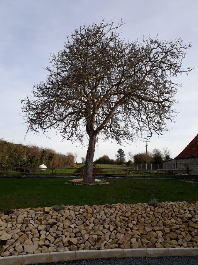 Gite " Le Vieux Noyer" Liesville-sur-Douve Екстер'єр фото